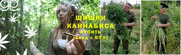 стаф Нефтекумск