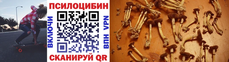 Купить  Мурманск  Псилоцибиновые грибы мицелий 